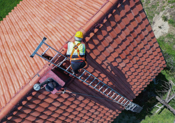 Best Roof Moss and Algae Removal  in Gilbertsville, PA